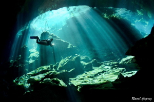Diving in the sun rays by Raoul Caprez 